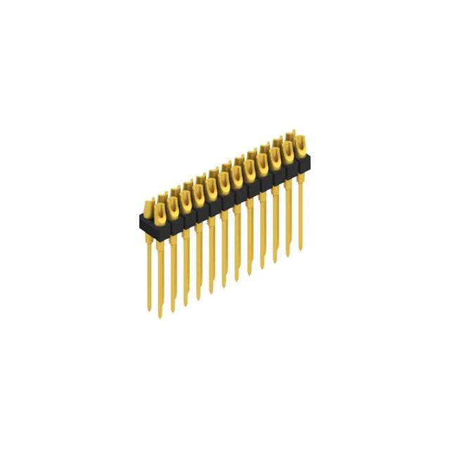 MK 210 24 G