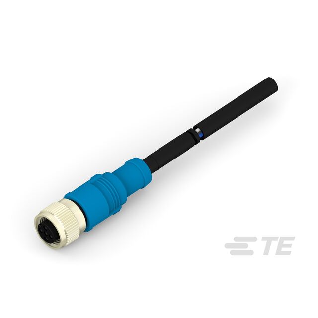 T4161310004-002