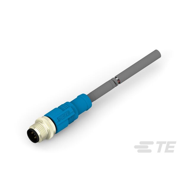T4161120005-003