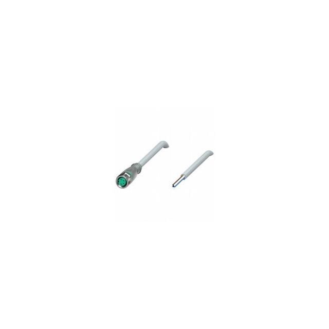 V31-GM-A2-5M-PUR