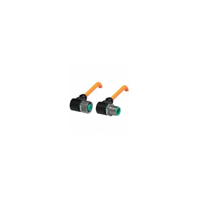 V1-W-OR2M-POC-V1-W
